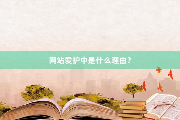 网站爱护中是什么理由？