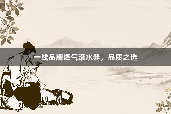 一线品牌燃气滚水器,品质之选
