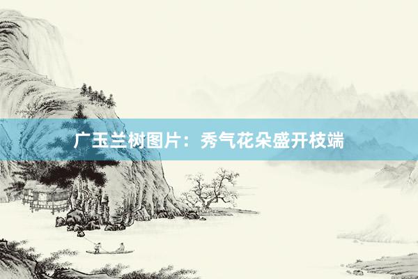 广玉兰树图片：秀气花朵盛开枝端